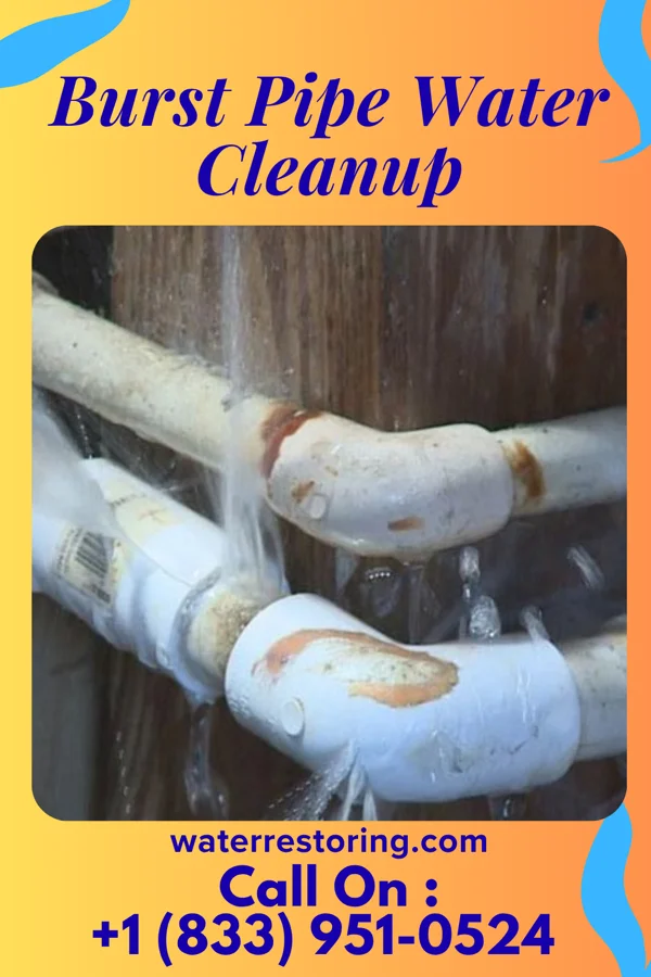 Burst Pipe Water Cleanup in Vance, AL